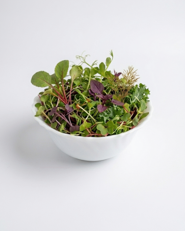 MICRO GREENS SALAD - ಮೈಕ್ರೋ ಗ್ರೀನ್ಸ್ ಸ್ಯಾಲಡ್