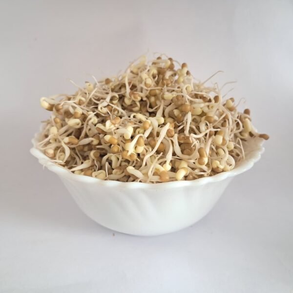 MOTHBEAN SPROUTS - ಮಡಿಕೆ ಕಾಳು ಮೊಳಕೆಗಳು